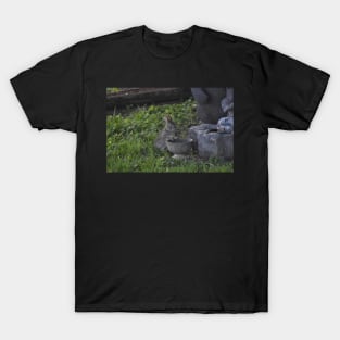 Bunny T-Shirt